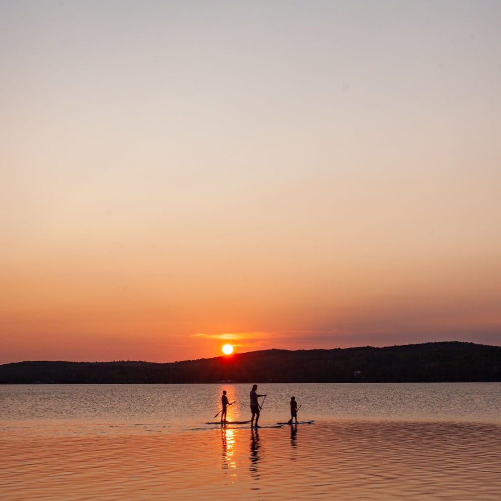 Stand Up Paddle