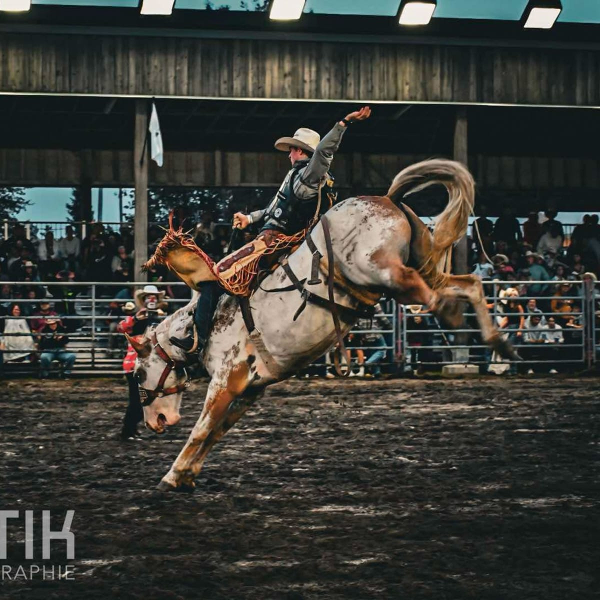 Equestrian rodeo