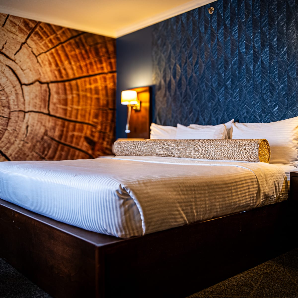 La chambre de l'hôtel
