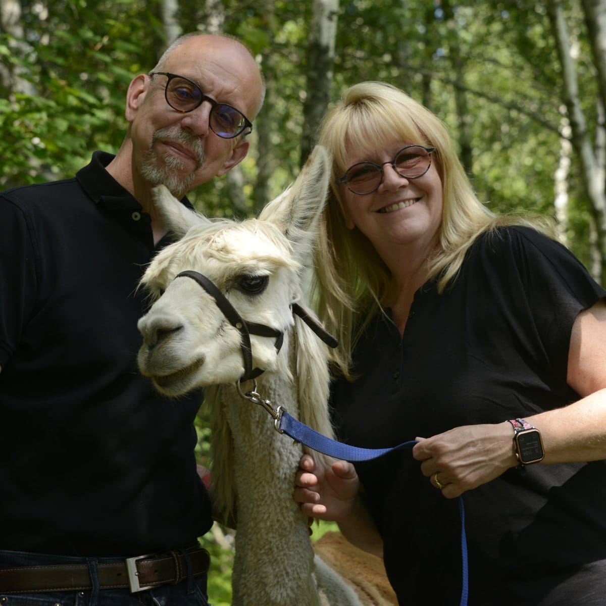 Alpagas du Domaine Poissant - A man, a woman and an alpaca