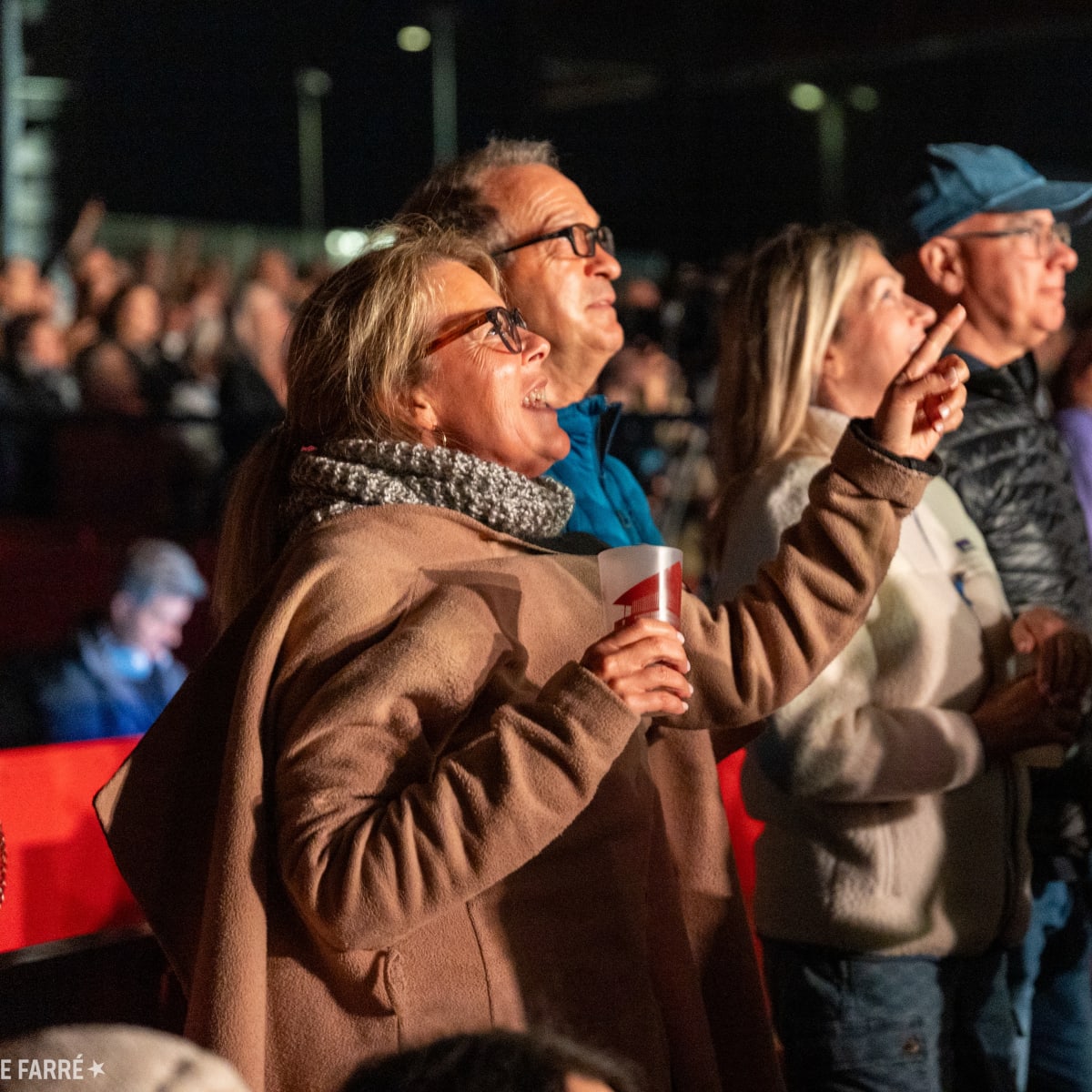 Foule assistant à un spectacle à l'Amphithéâtre Cogeco