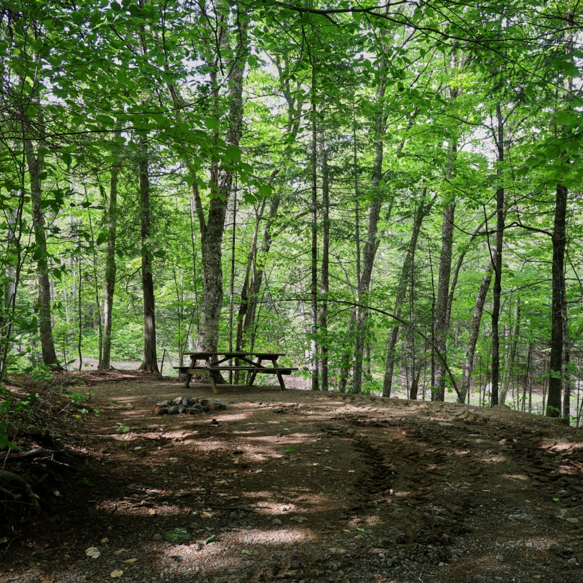 Sommet Morin Heights’ Camping and Cabins