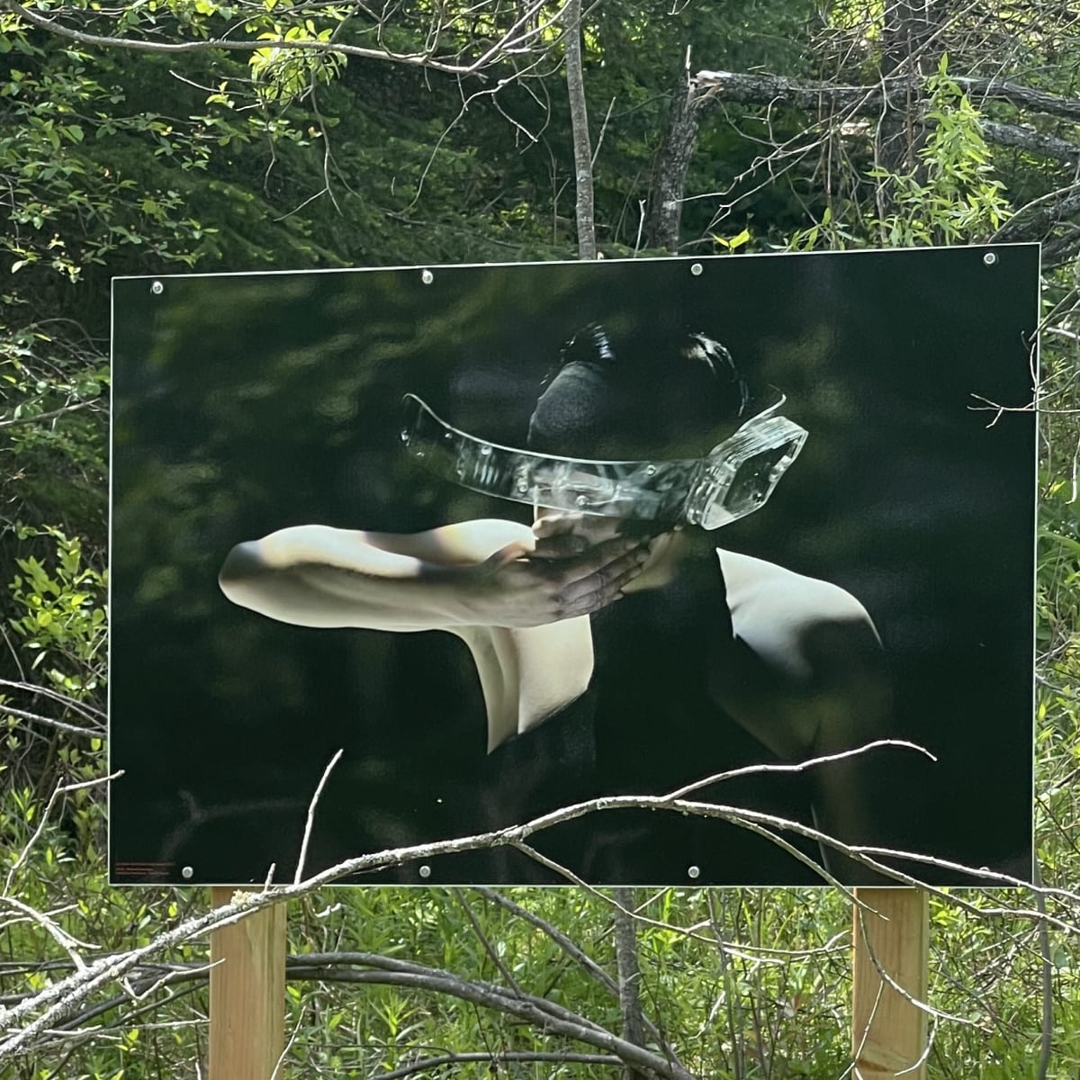 Malvina Center of Creation and Presentation Center - Artwork of a person wearing a hat, hands over face, is displayed on a panel in a forest setting.