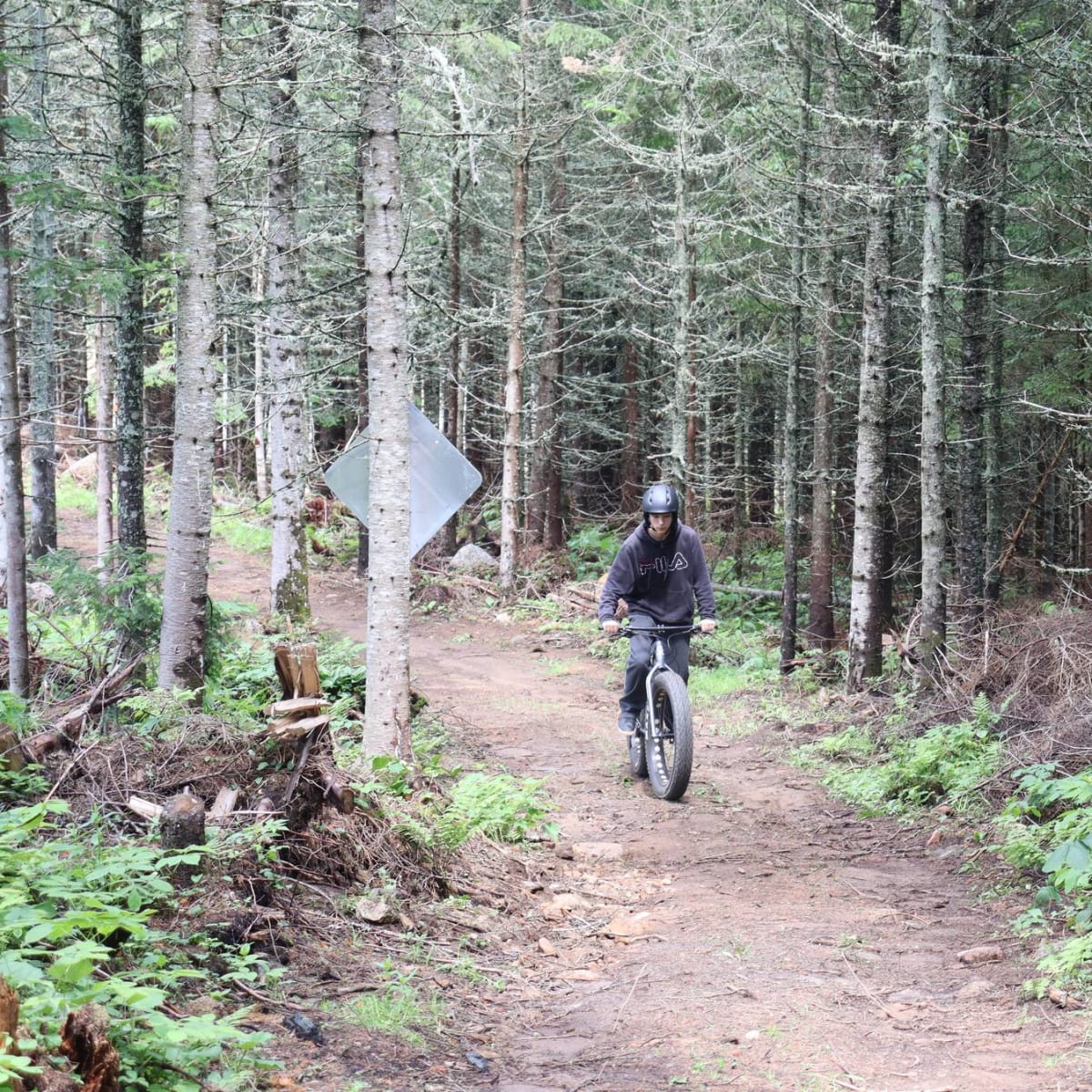 Centre récréotouristique des Hautes Terres - Un individu fait du fatbike dans une forêt