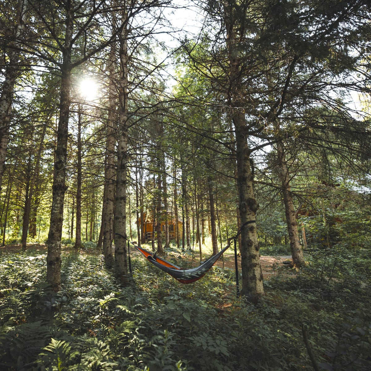Hammock in the woods at Huttopia Sutton.