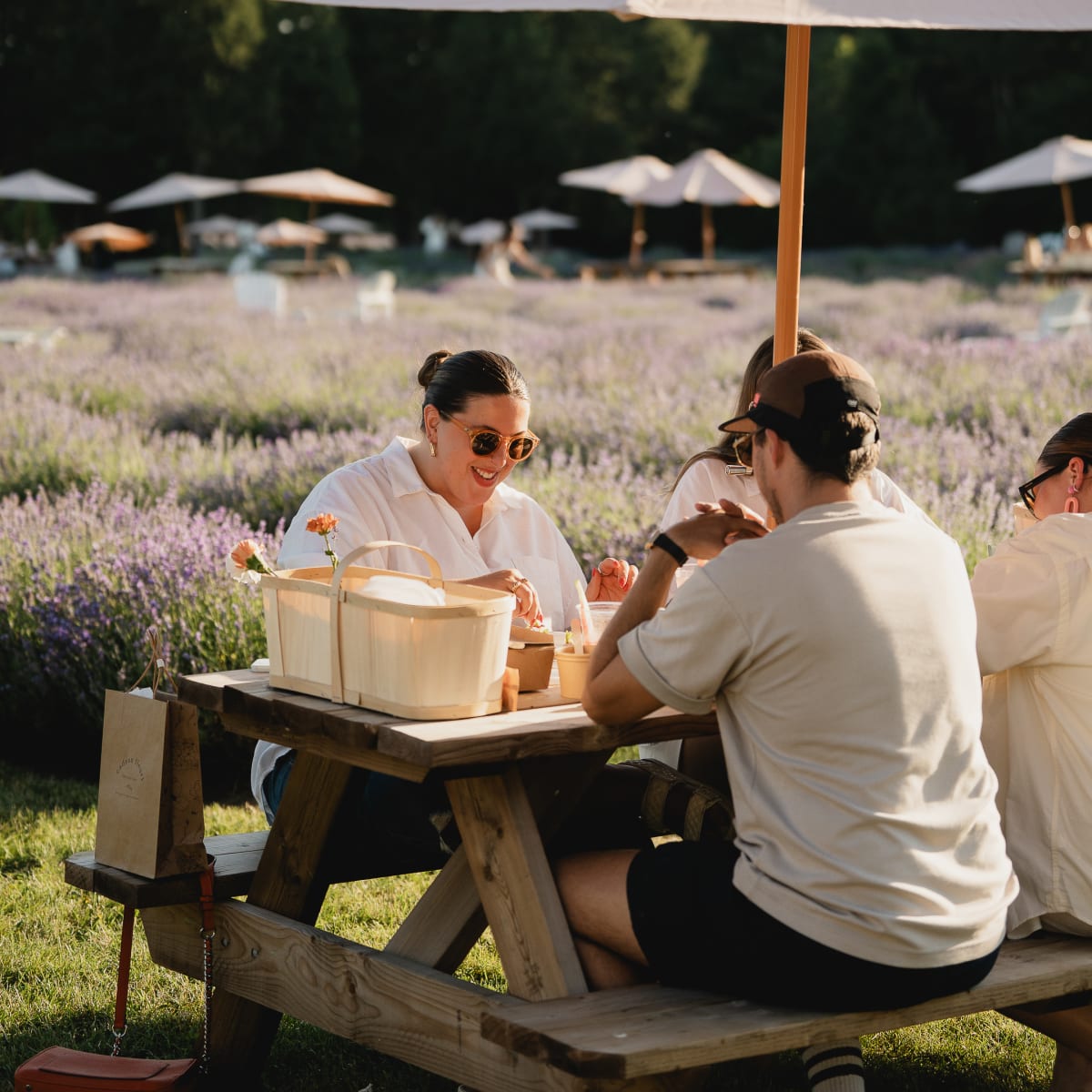 Two couples sitting at a picnic table near the lavender fields - Maison Lavande