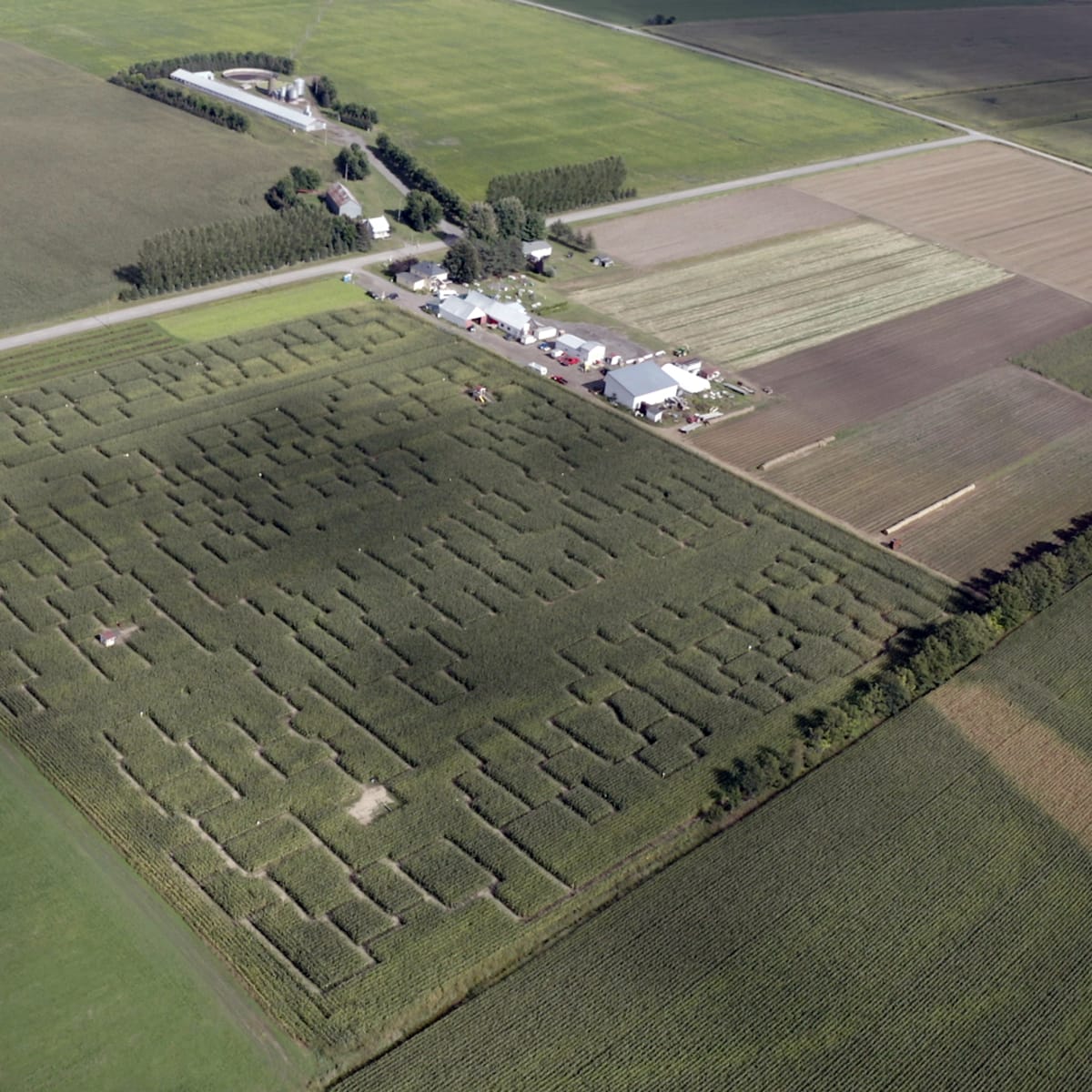 The Great Lanaudière Corn Maze - Ferme Guy Rivest