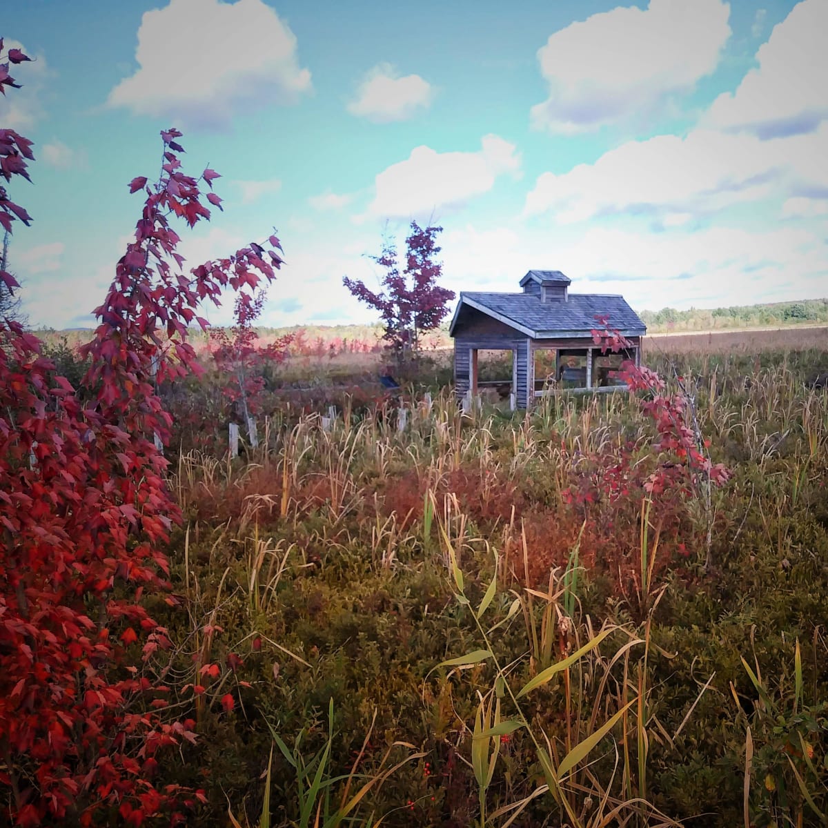 Marais de la Rivière-aux-Cerises