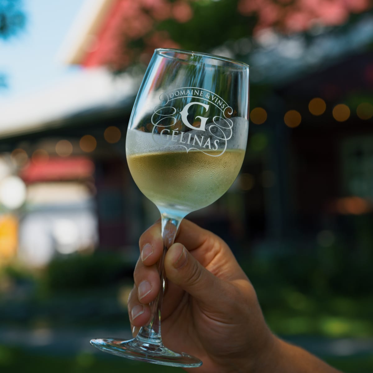 Une coupe de vin blanc