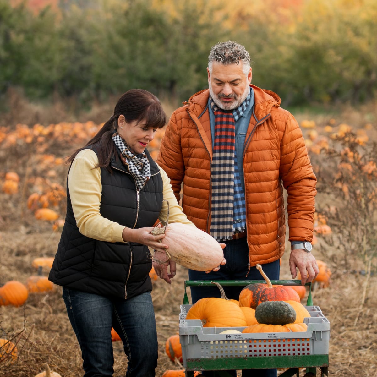 Inspiration for a fall getaway in Quebec