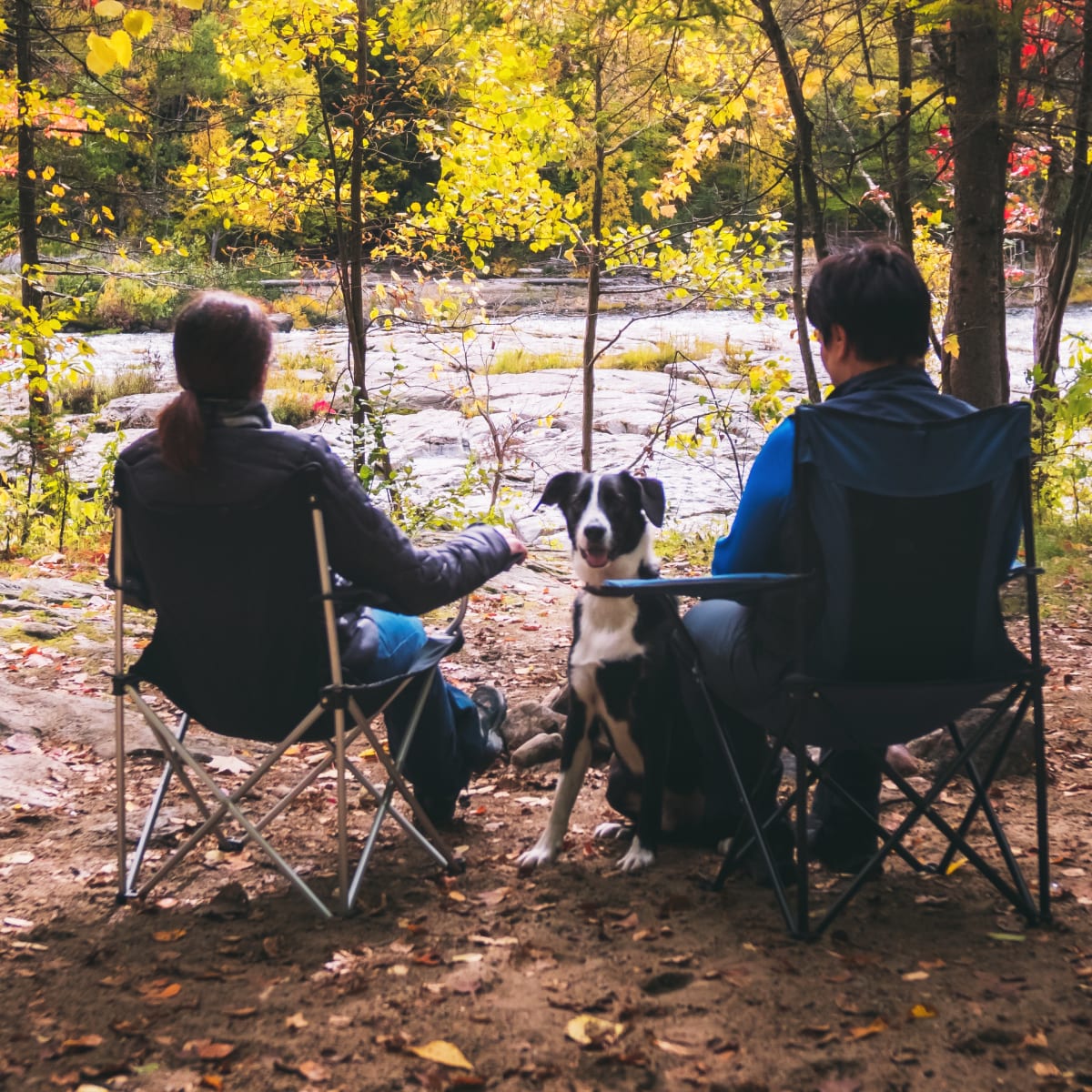 Perfect activities for a colourful fall with Quebec Adventure Outdoor - Relaxing with a dog in front of the river in autumn, Parc de la rivière Batiscan