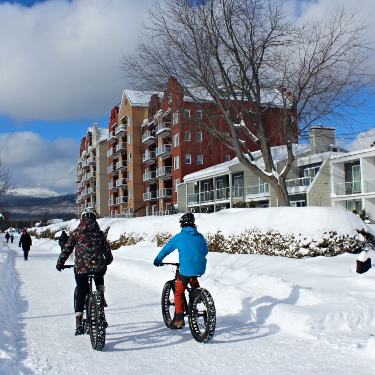 Winter with PAL+ | Touristic Experiences - Fatbike trail next to the hotel