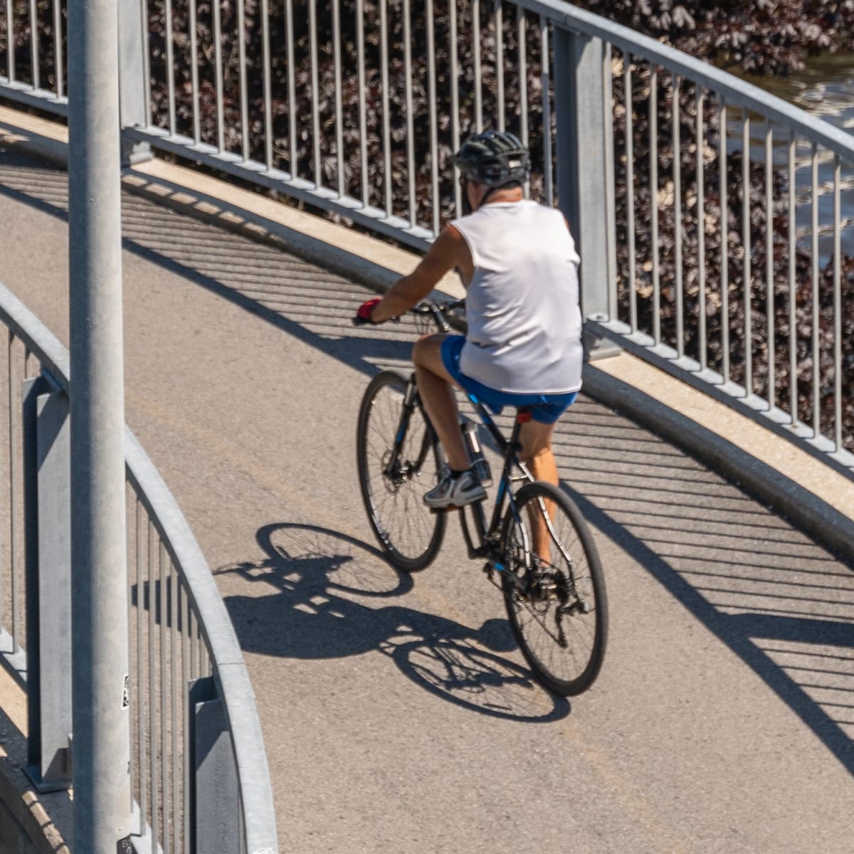 Escape close to home in Sainte-Anne-de-Bellevue - Bike path
