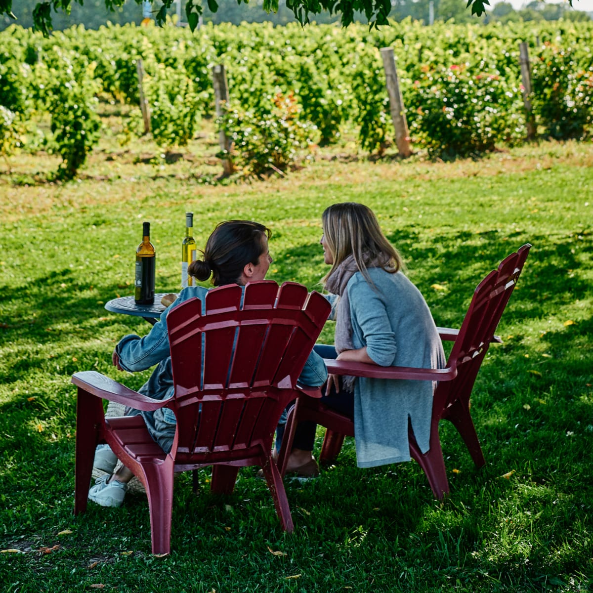 Brome-Missisquoi : une région, mille activités - Dégustation de vin devant les vignes, Route des vins de Brome-Missisquoi