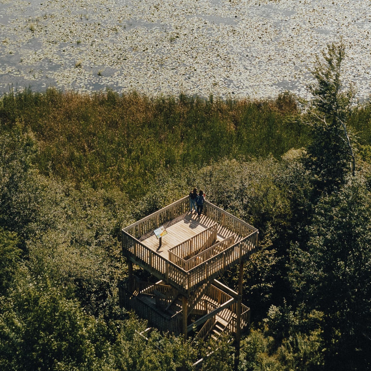 Discover all you can do in Granby! - Centre d’interprétation de la nature du lac Boivin