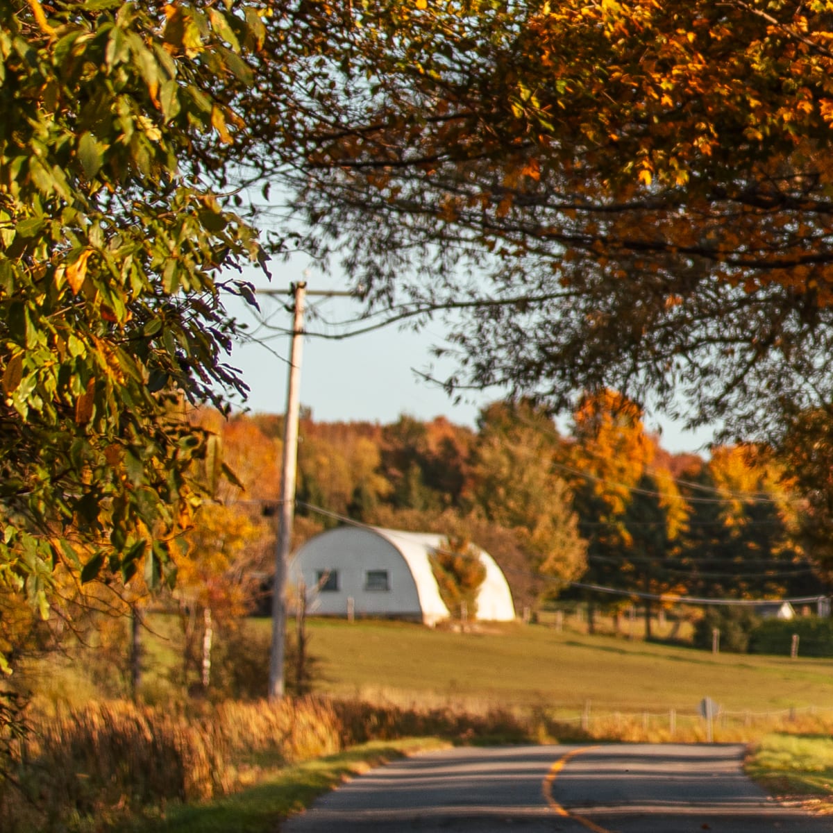 Discover the magic of autumn in Memphremagog - Enjoying the fall