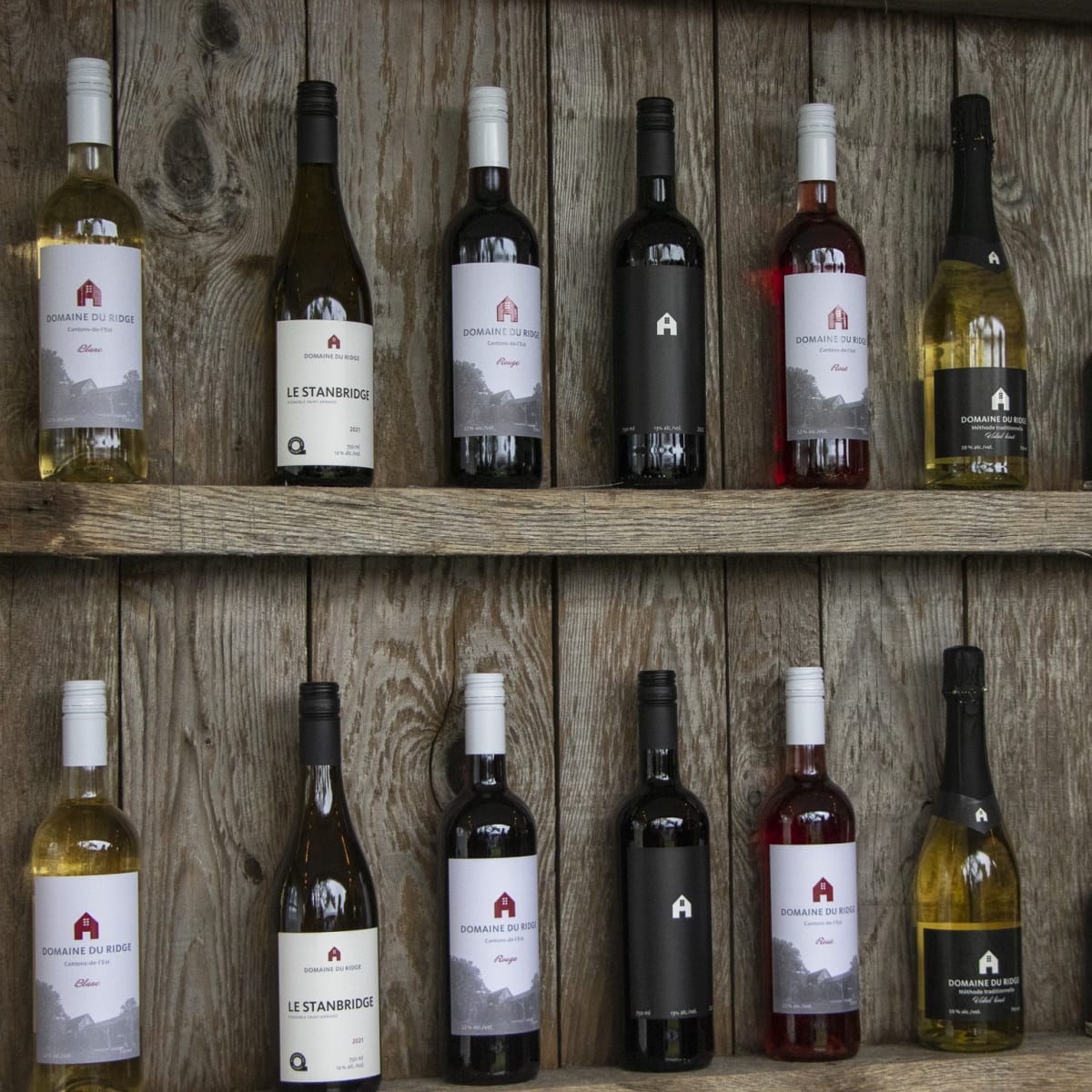 Have a festive summer in Quebec! - Fête des vendanges