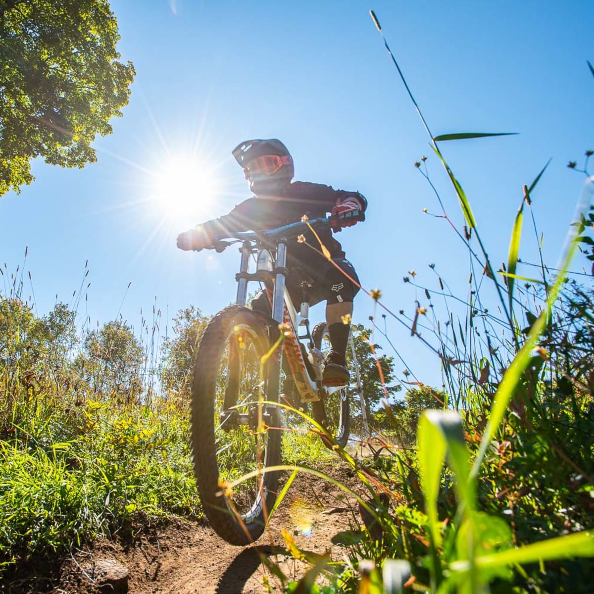 Parc vélo Sommet Saint-Sauveur