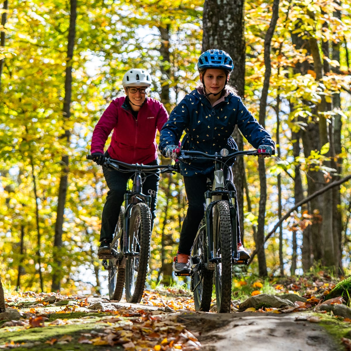Parc vélo Sommet Saint-Sauveur