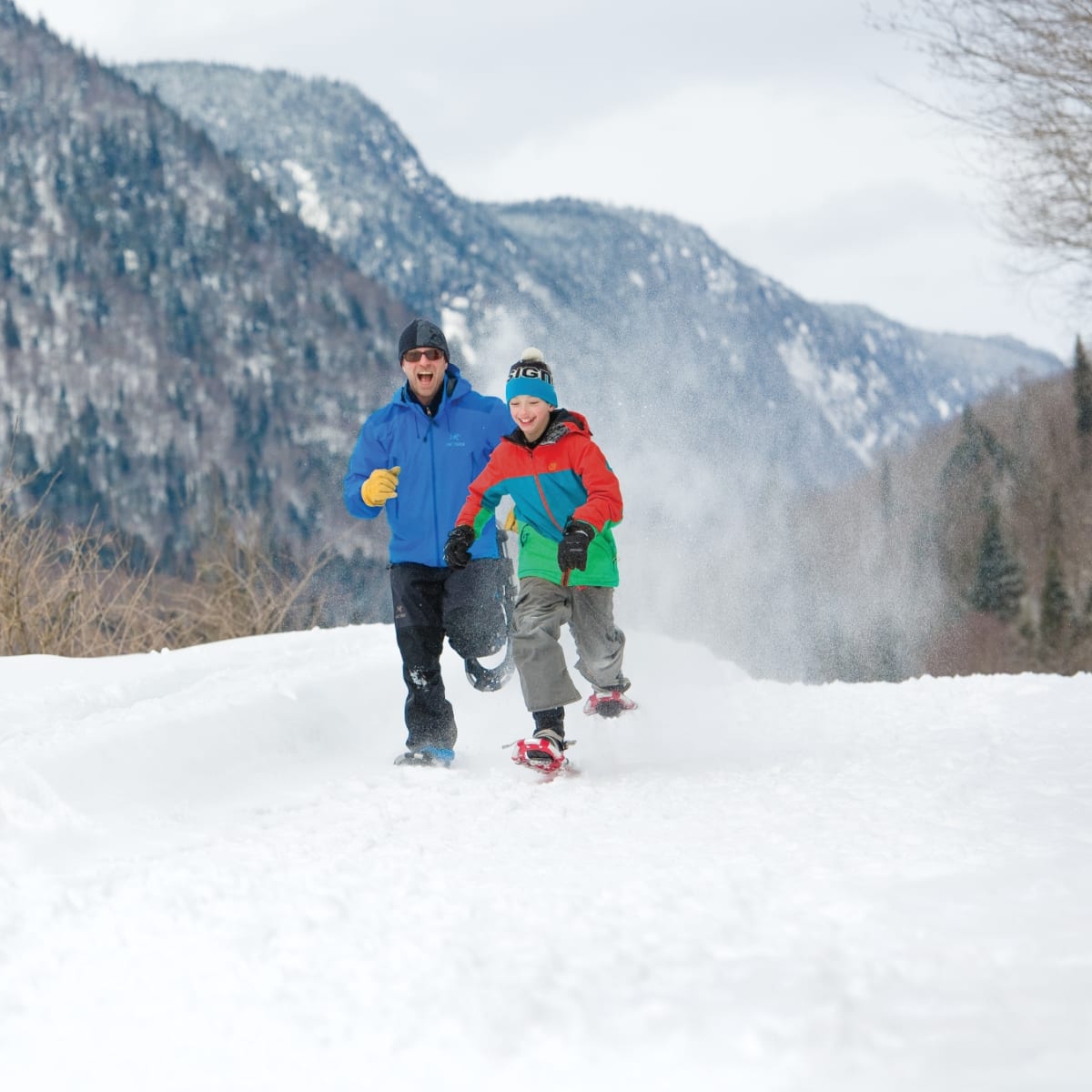 Parc national de la Jacques-Cartier
