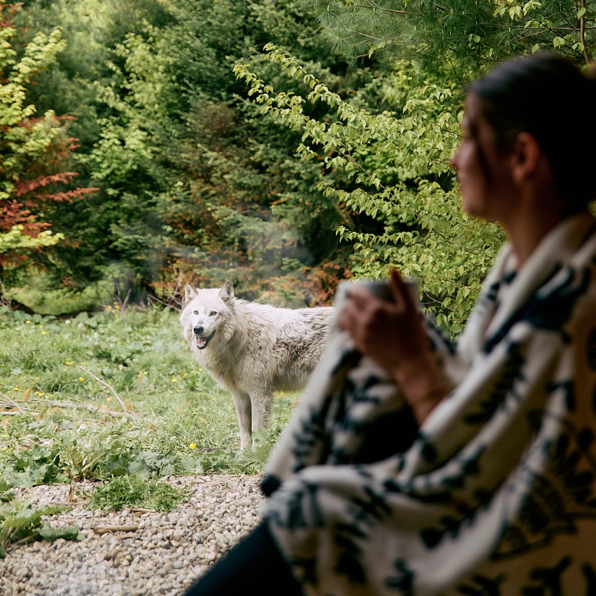 Accommodations to sleep alongside the wolves