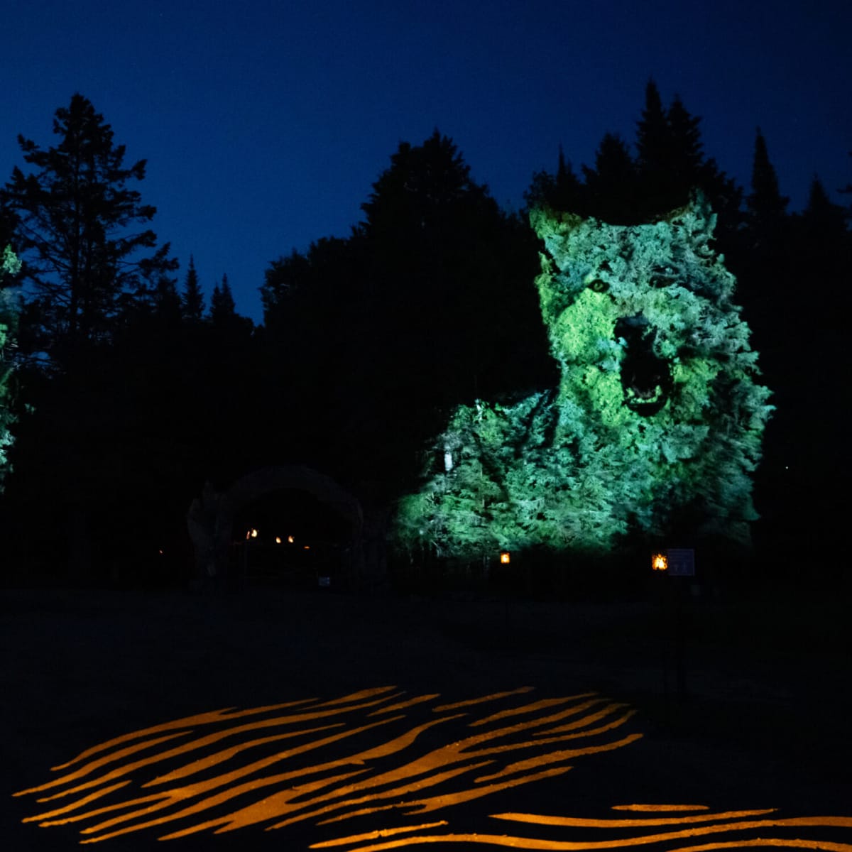Oniro nighttime trail