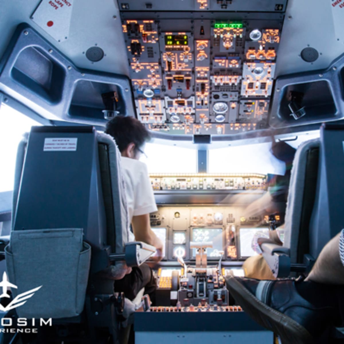 aerosim_experience_2