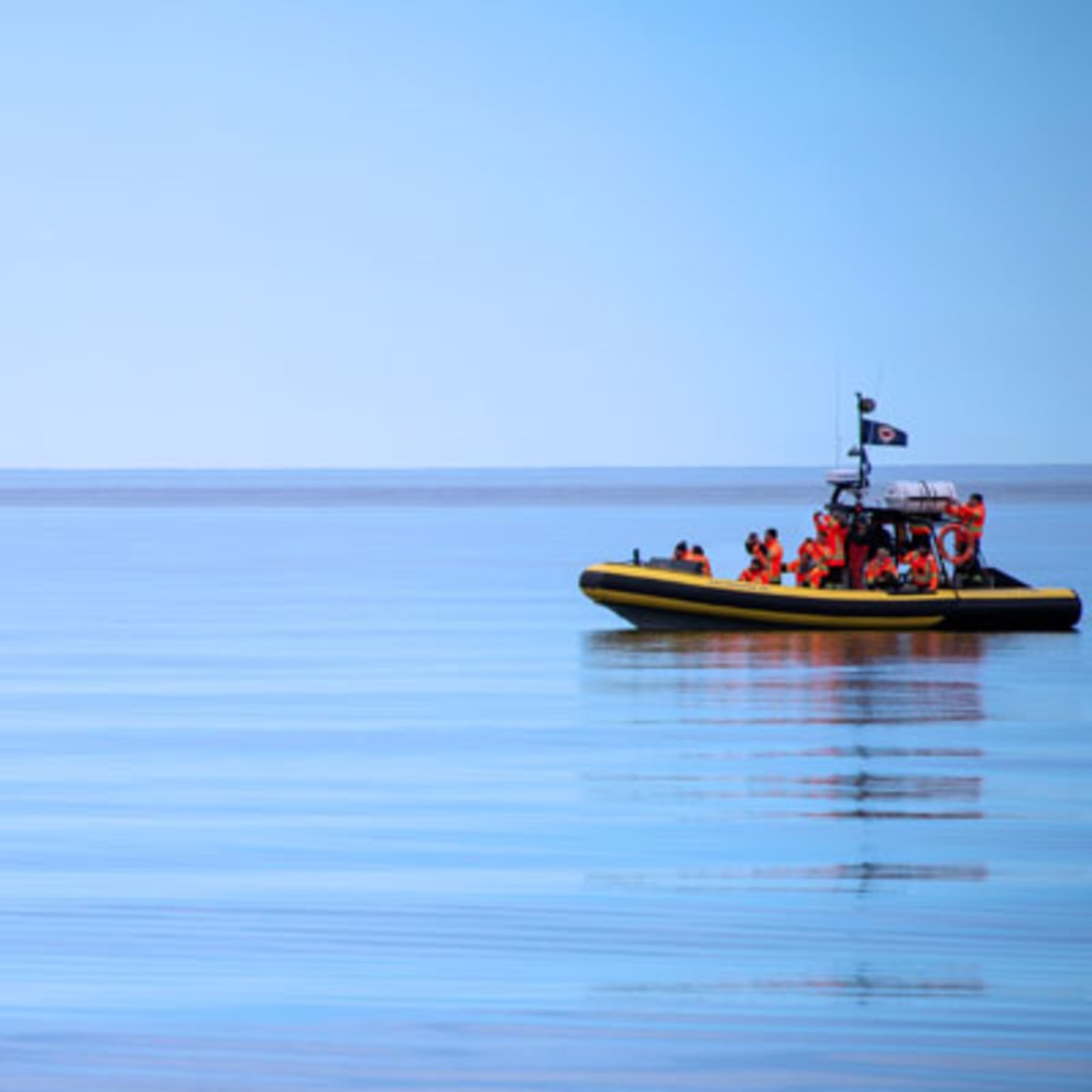 alliance_eco_baleine_2