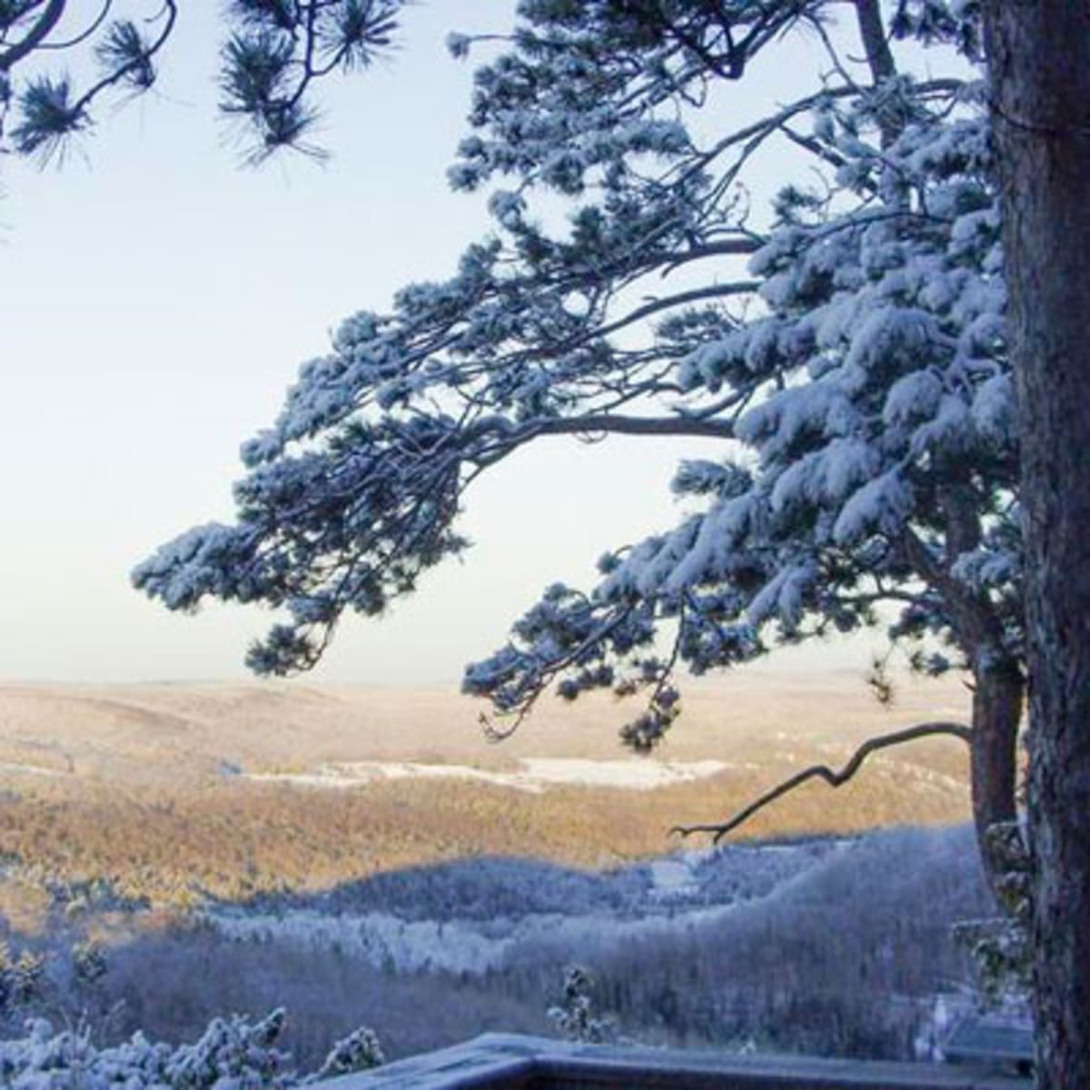 auberge_de_la_montagne_coupee_5_h