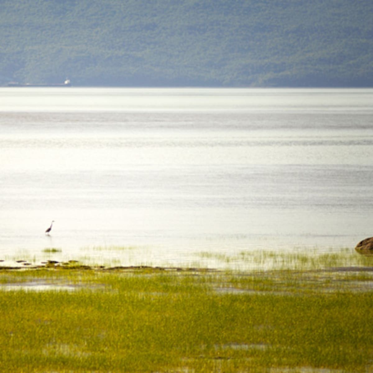 auberge_pourvoirie_isle_aux_grues_7