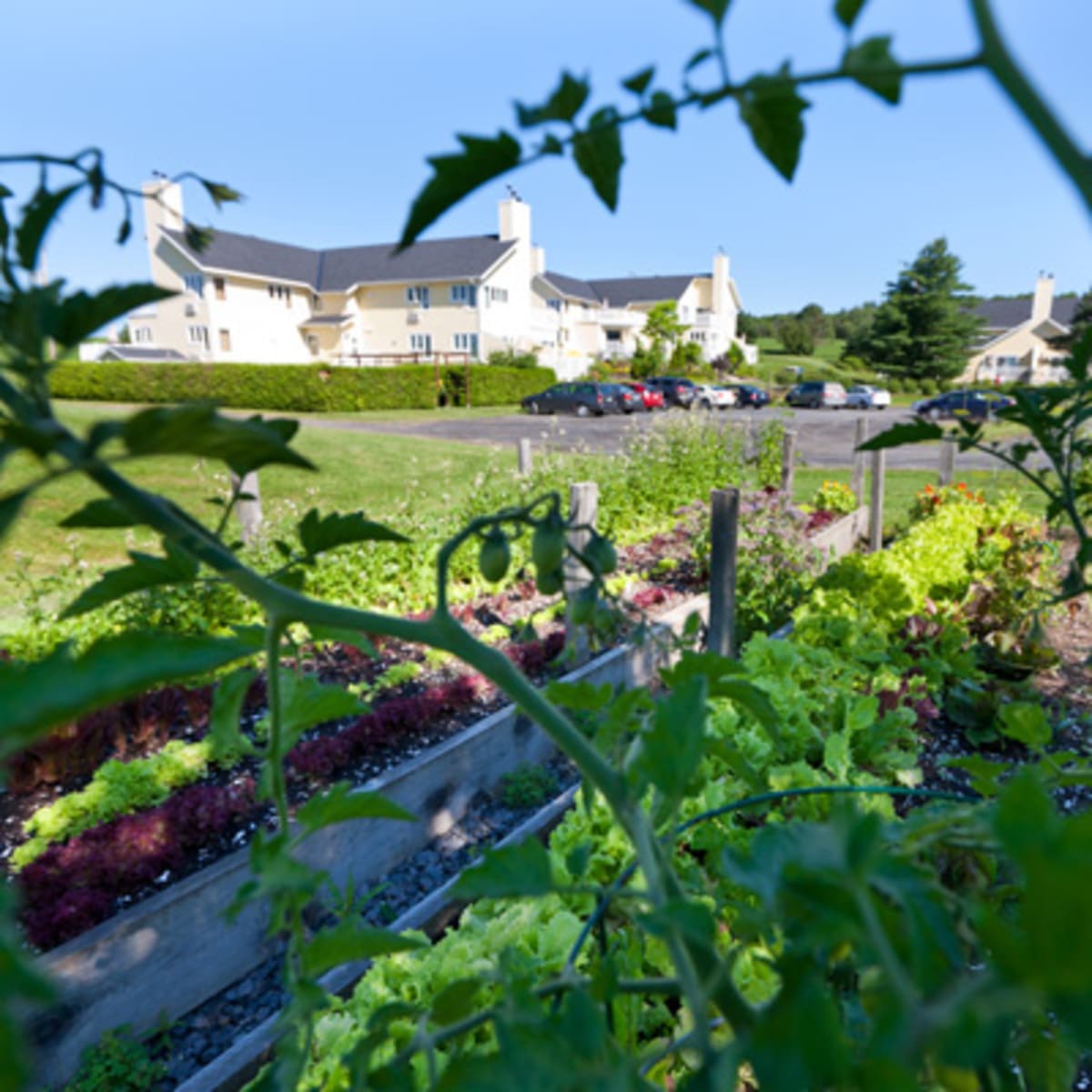 auberge_west_brome_2