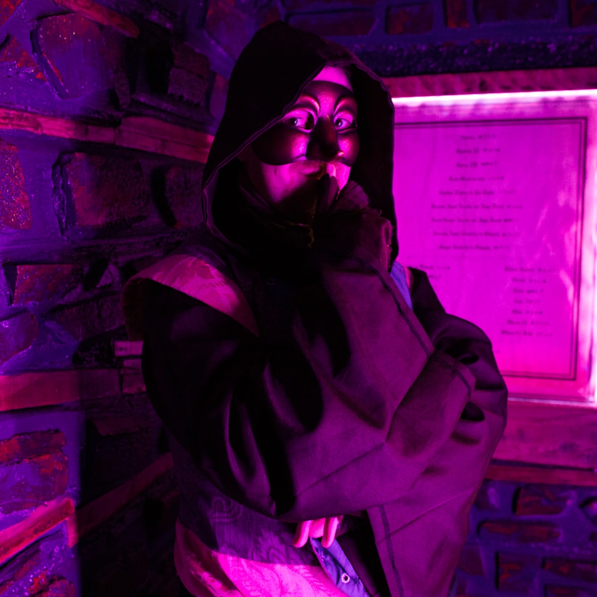 cabinet_mysteriis_5
