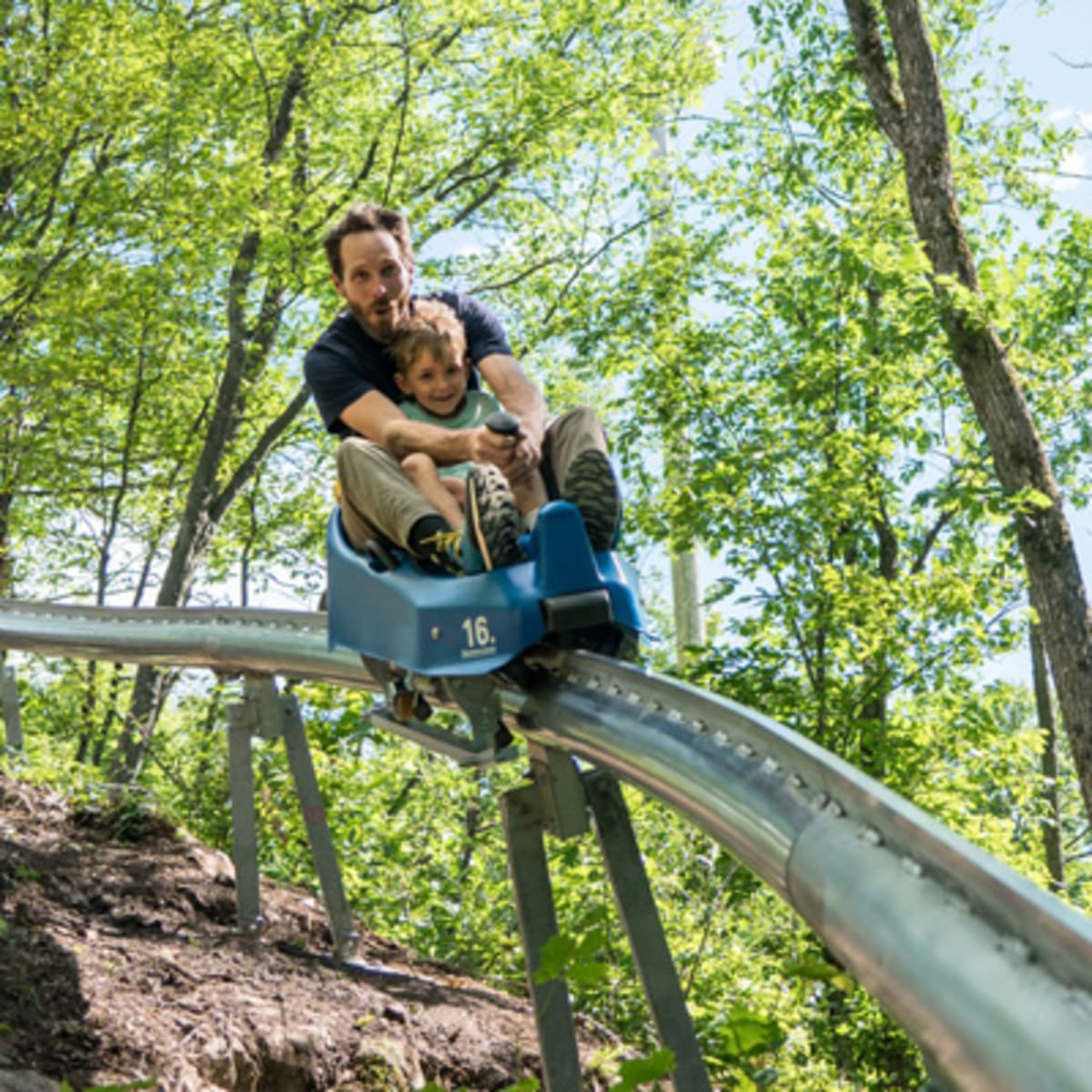 camp_fortune_luge_parc_aerien_et_tyroliennes_1