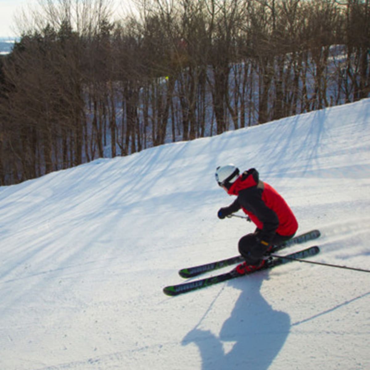 camp_fortune_luge_parc_aerien_et_tyroliennes_1_h