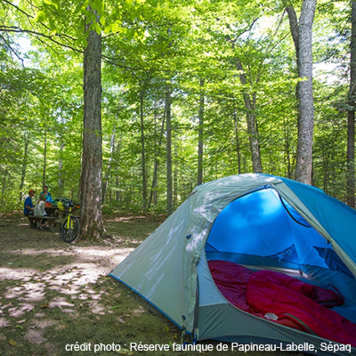 camping_de_la_reserve_faunique_de_papineau_labelle_1
