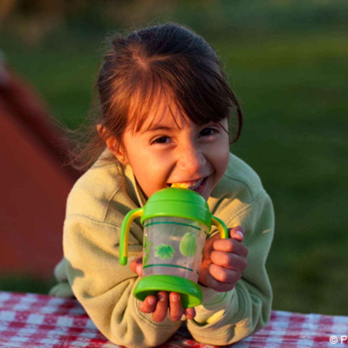 camping_du_parc_national_de_forillon_14