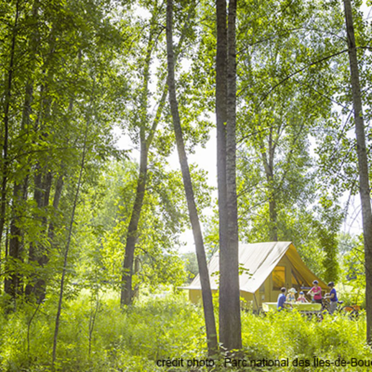 camping_du_parc_national_des_iles_de_boucherville_3