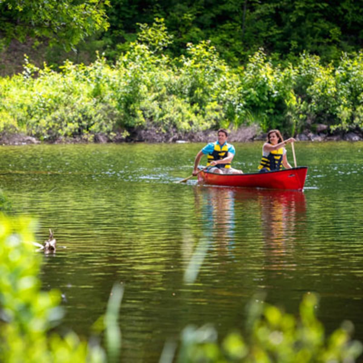 camping_parc_de_la_gatineau_16