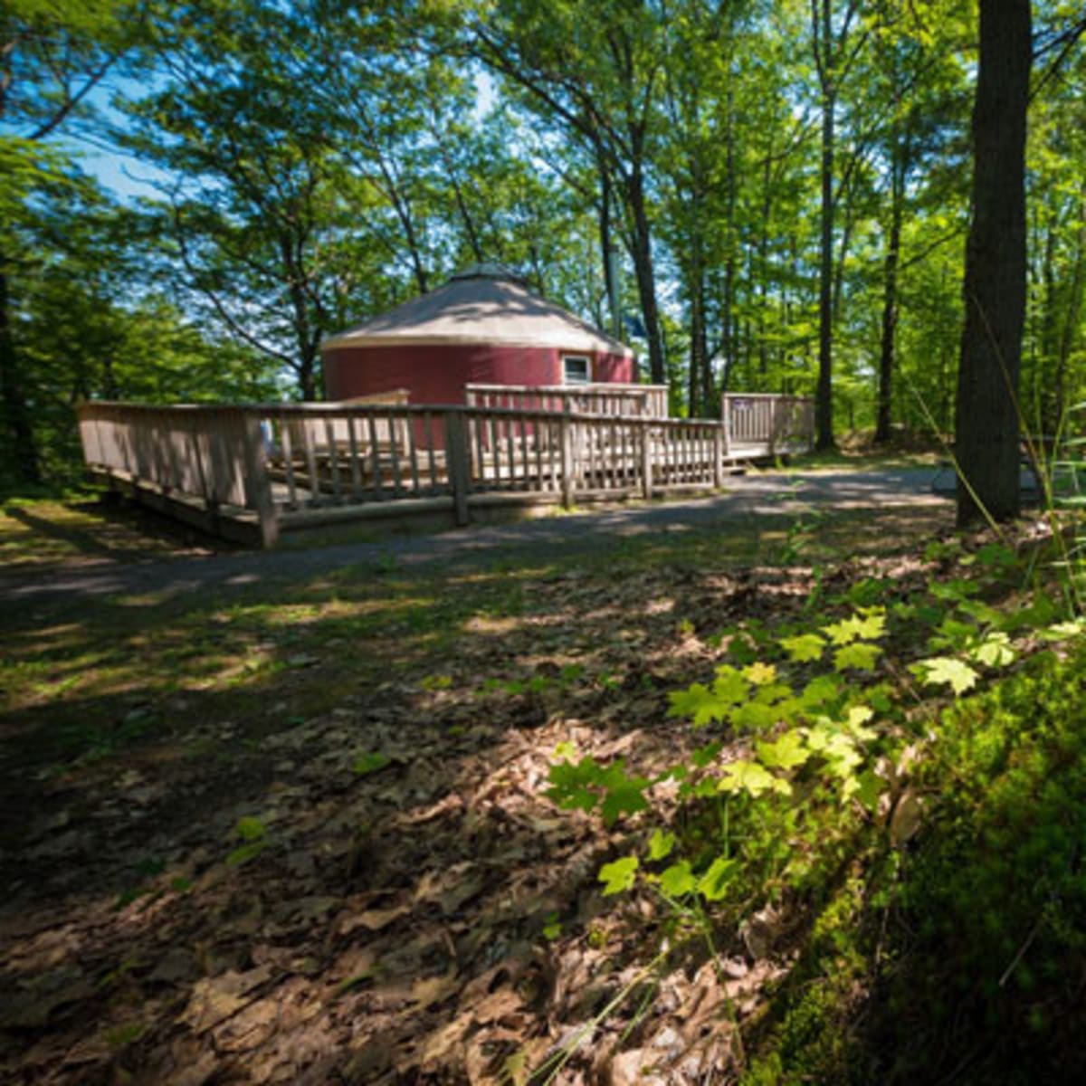 camping_parc_de_la_gatineau_8