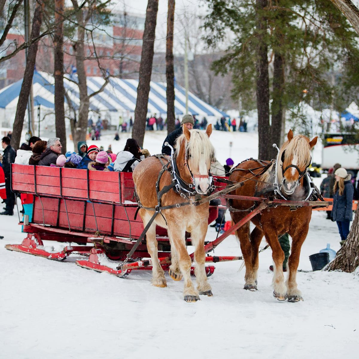 carnaval_de_sherbrooke_5_h