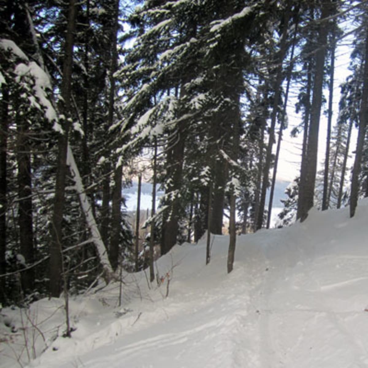 centre_de_ski_mont_la_reserve_13