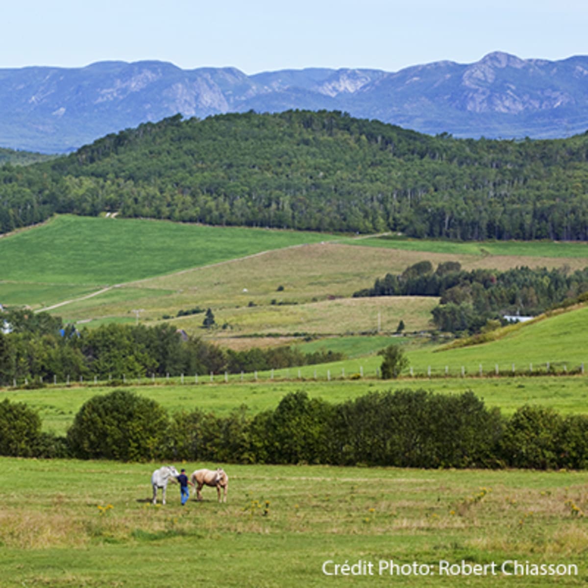 charlevoix_charme_moi___secteur_de_larriere_pays_13