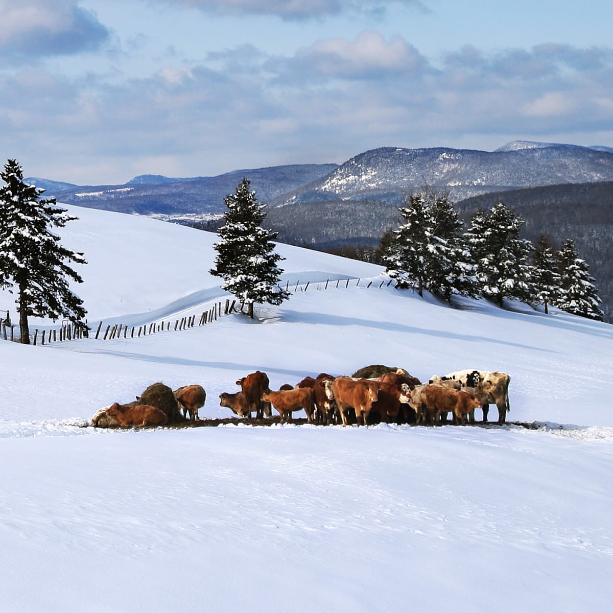 charlevoix_charme_moi___secteur_de_larriere_pays_2_h