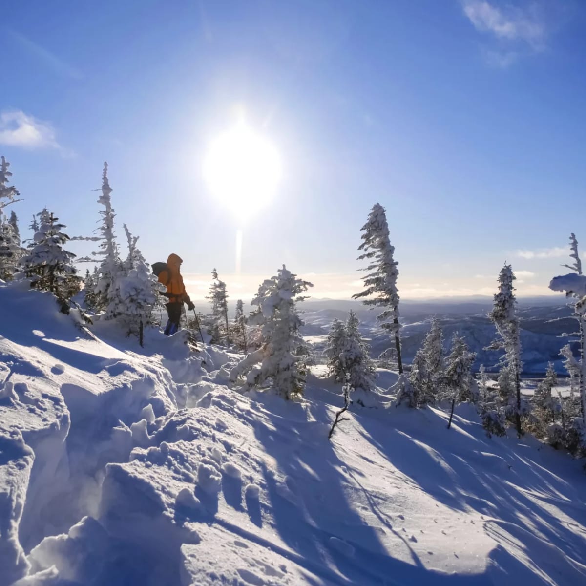 charlevoix_charme_moi___secteur_de_larriere_pays_4_h