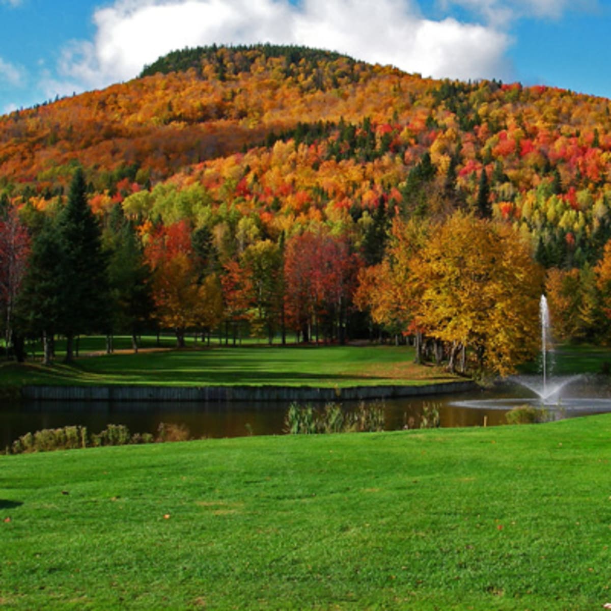 club_de_golf_alpin_1_a