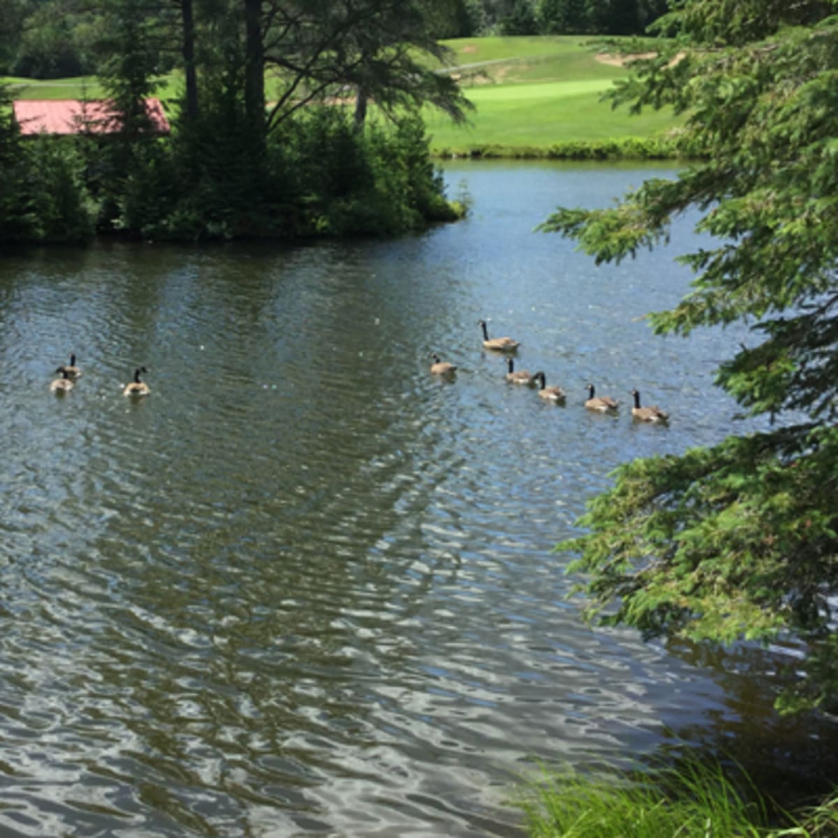 club_de_golf_carling_lake_5