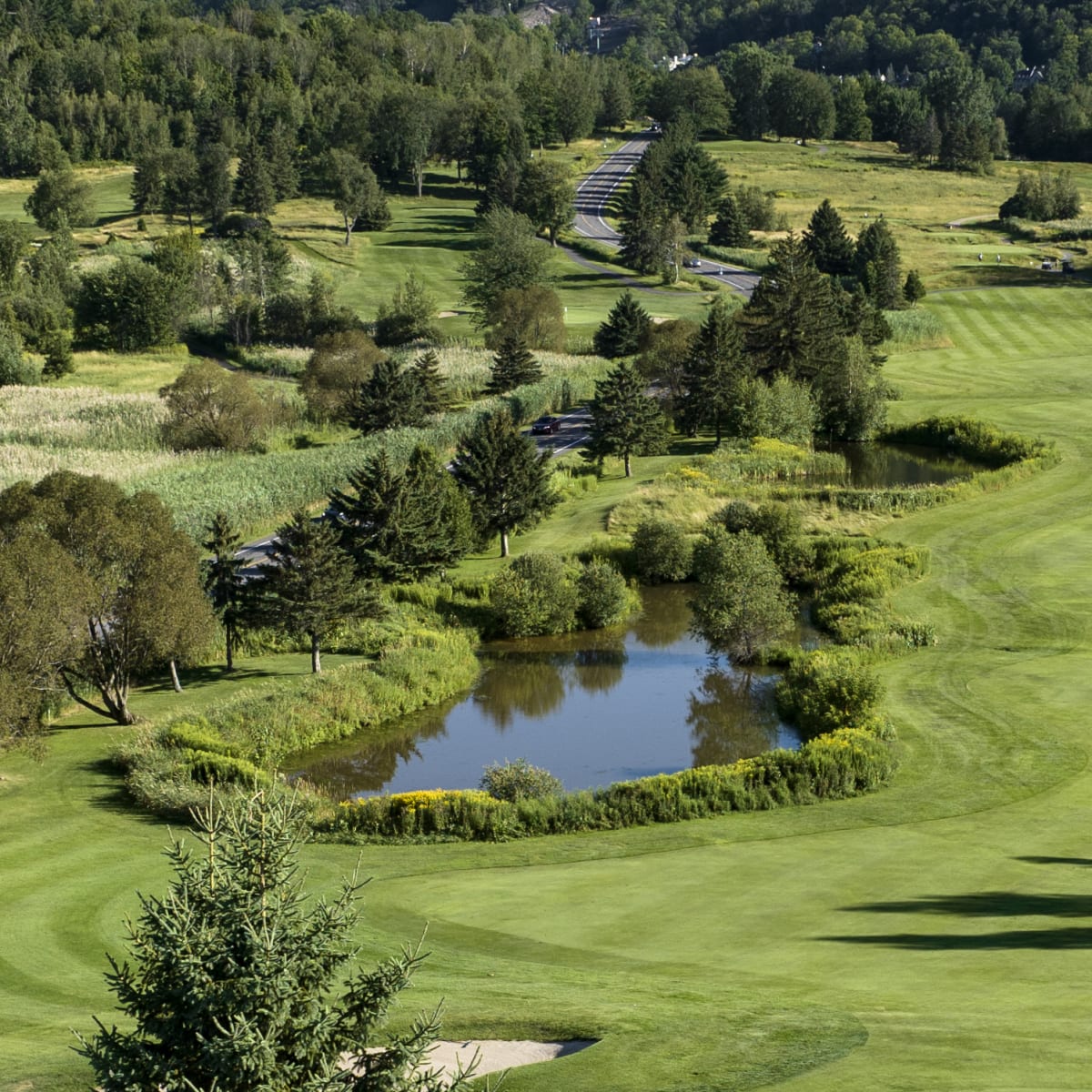 club_de_golf_chateau_bromont_le_2