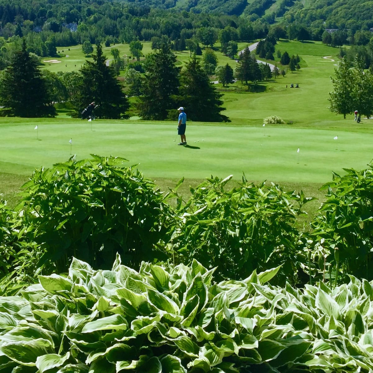 club_de_golf_chateau_bromont_le_3