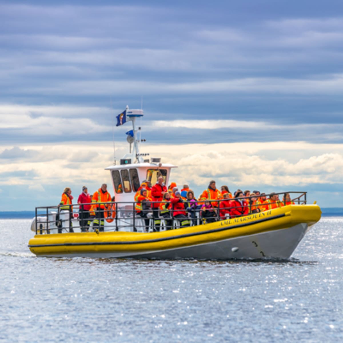 croisieres_aml_4