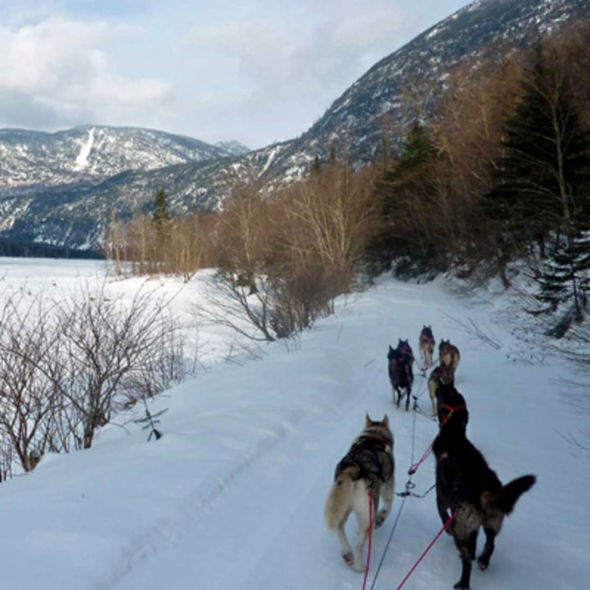 descente_malbaie_1_h